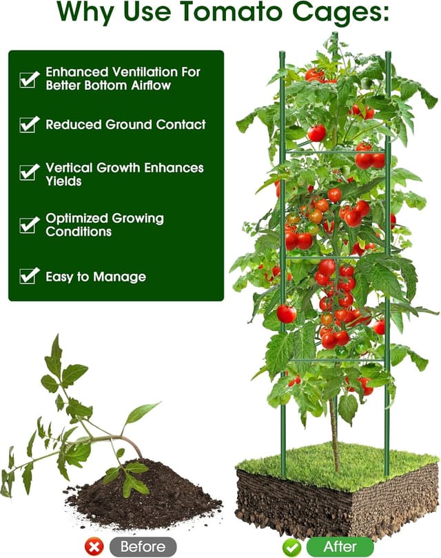 Detalle de MQJIAZHI 6 Pack Tomato Cage for Garden with Height Adjustable Stakes (Extra Bold) up to 51.2in