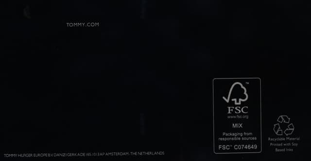 Detalle 2 de Tommy Hilfiger Sneaker Essential Nautical 39