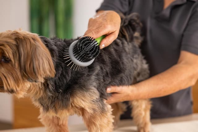 Thumbnail 2 de WAHL Spazzola a Doppio Lato