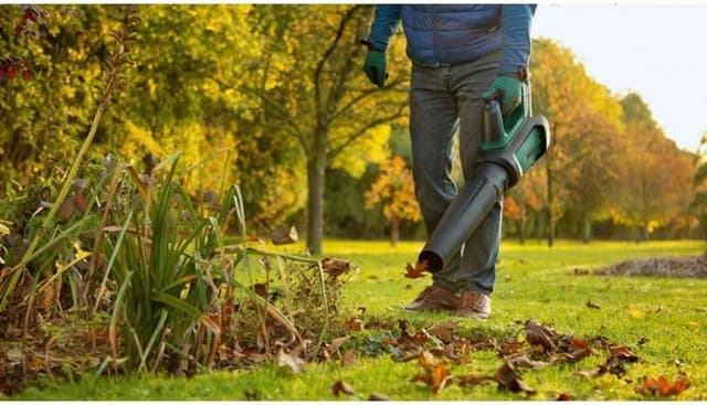 Thumbnail 4 de Bosch AdvancedLeafBlower 36V-750 2.8 kg