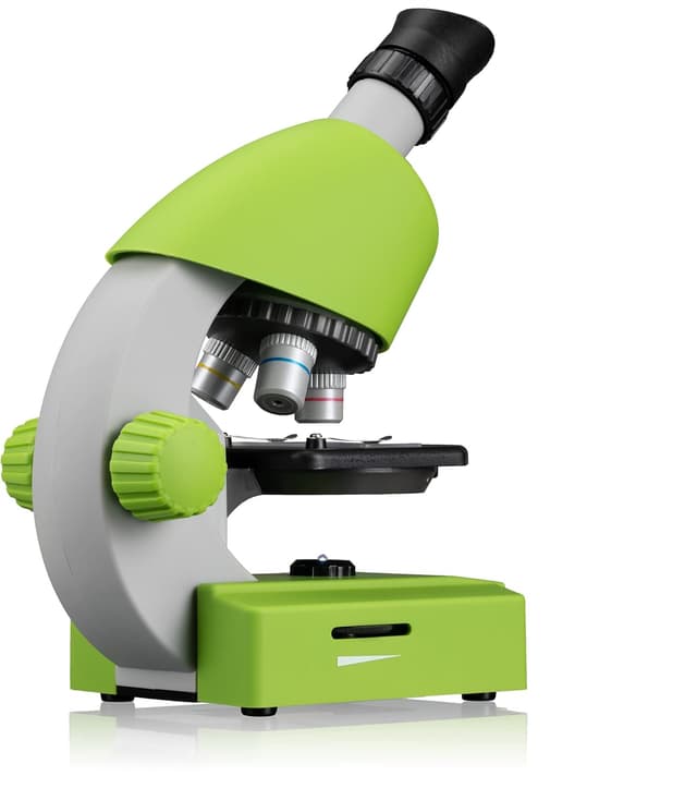 Detalle de Bresser Junior Kinder Mikroskop 40x–640x mit LED, Zoom-Okular und Smartphonehalter (ab 8 Jahren) – Urzeitkrebse-Set