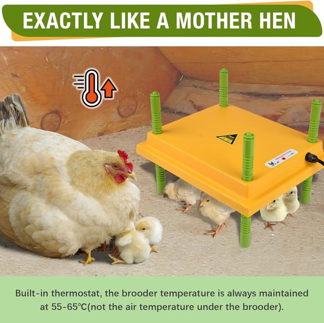 Thumbnail 1 de Plutohiker Chick Brooder Heating Plate 10x12in