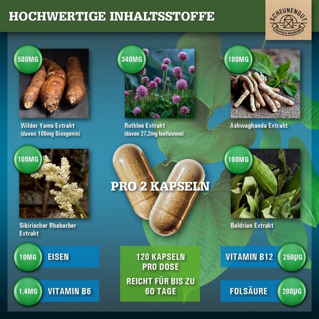 Detalle 2 de MENO INTENSO Yamswurzel Kapseln 60 Tage