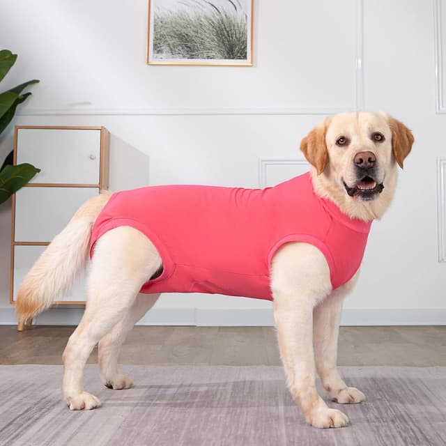 Thumbnail 6 de Axcimond Dog Surgery Recovery Suit (Medical Pet Shirt) for Female & Male Dogs – Cone Collar Alternative