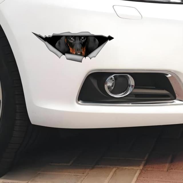 Thumbnail 5 de Autoaufkleber Dackel 25 cm