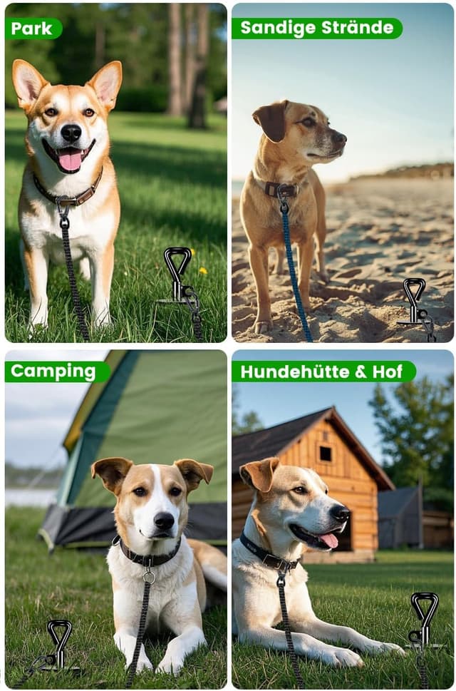 Thumbnail 4 de Bodenanker Hund Pro Erdanker 100 kg Hund