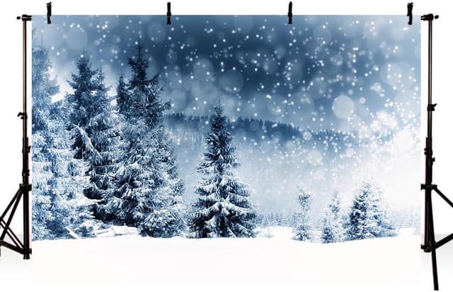 Imagen de AIBIIN Winterlandschaft Fotohintergrund 2,1×1,5 m 🎄 en OfertitasTOP