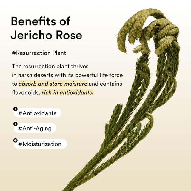 Detalle de Collagen Eye Patches 60 Count for wrinkles