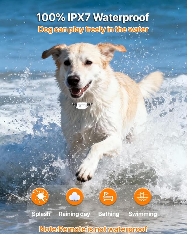 Thumbnail 3 de Collier de Dressage pour Chien 3 km