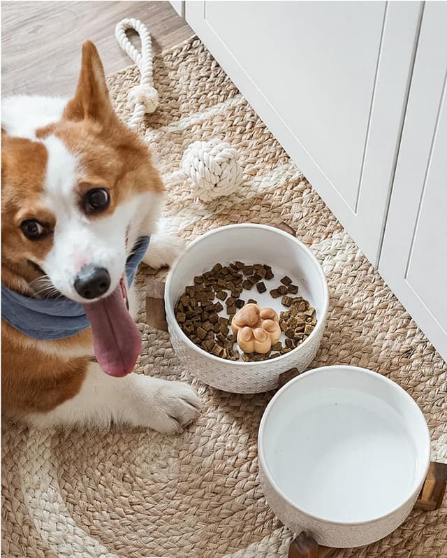 Detalle de LE TAUCI Hundenäpfe Keramik-Set mit Akazienholzständer (3 Näpfe + Wassernapf) für kleine bis mittelgroße Hunde