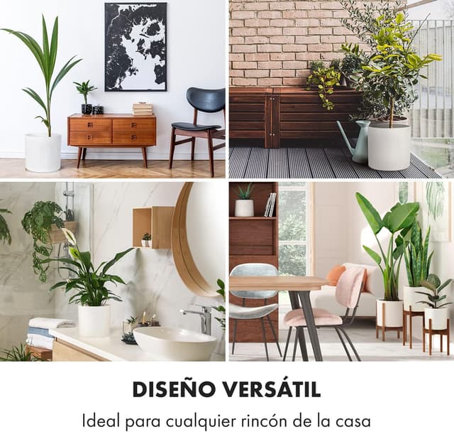 Detalle de Fox&Fern Maceta Grande para Interior y Exterior