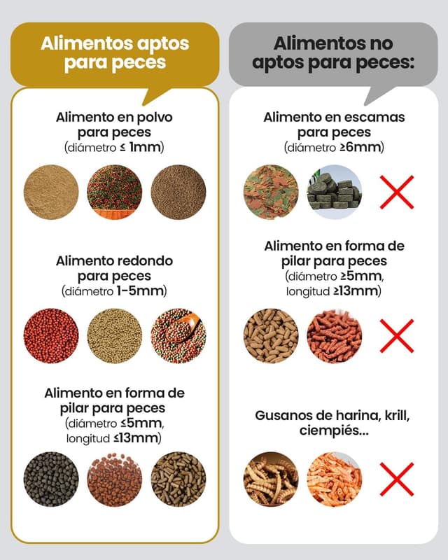 Thumbnail 3 de WOLMDS FS-02 Alimentador de Peces