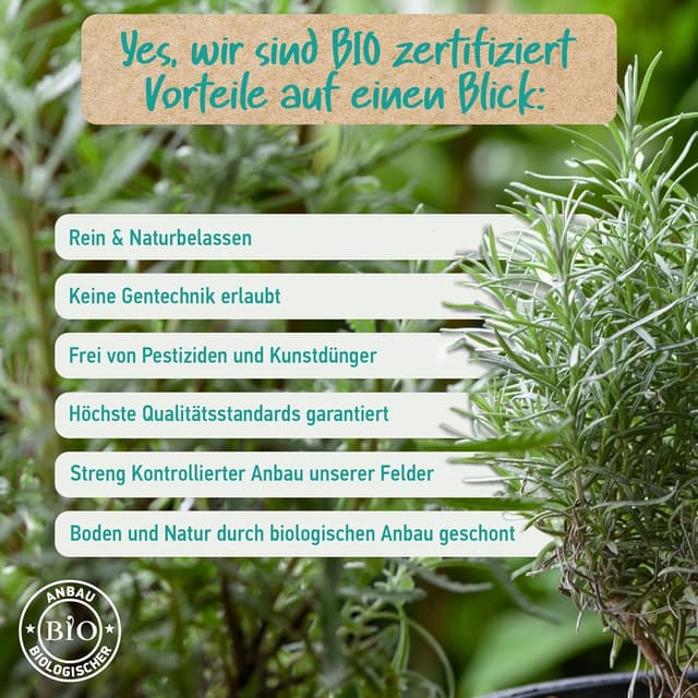 Detalle de Bio Rosmarinöl (Fördert das Haarwachstum) von Soena Naturals – ätherisches Rosmarinöl in hoher Konzentration