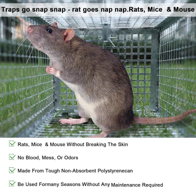 Thumbnail 6 de EGOFLYYA Rat and Squirrel Cage Trap 2-pack 🐭