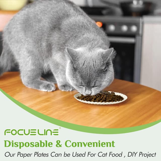 Detalle 2 de FOCUSLINE 6 Inch Paper Plates (Uncoated), 1000 Count White Disposable Dessert Plates