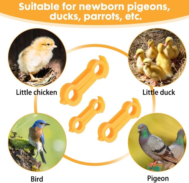 Thumbnail 5 de BNGXR Küken Beinspange 12 Stück