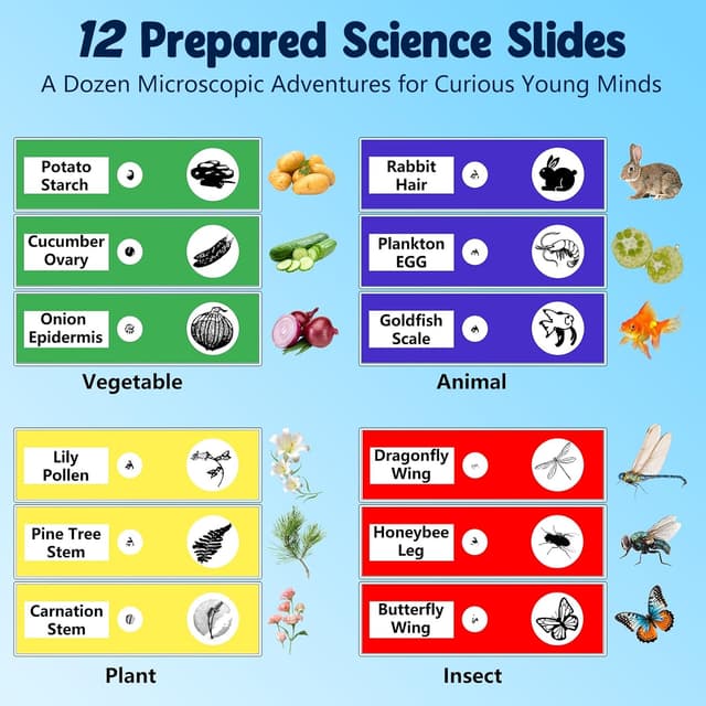 Thumbnail 3 de Odatay 1000X Handheld Microscope 2.4" Screen
