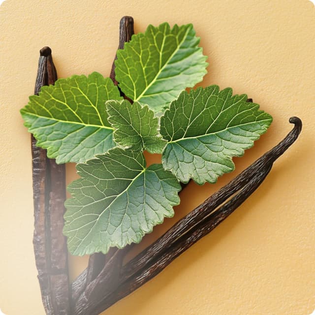 Thumbnail 3 de Elie Saab Girl of Now Shine 💖 Eau de Parfum 50ml