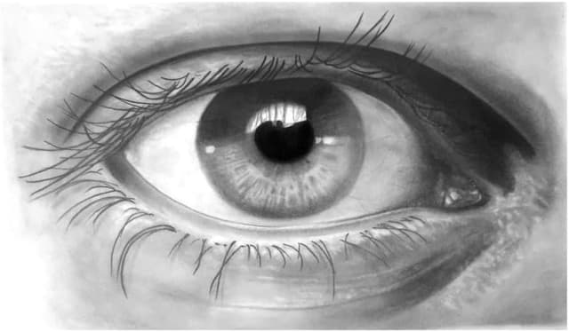 Detalle de Faber-Castell graphite Goldfaber 6B, 12 crayons