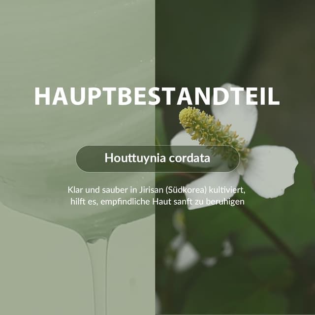 Thumbnail 5 de MIZON PORE FRESH PEELING TONER PAD (x60) für empfindliche Haut