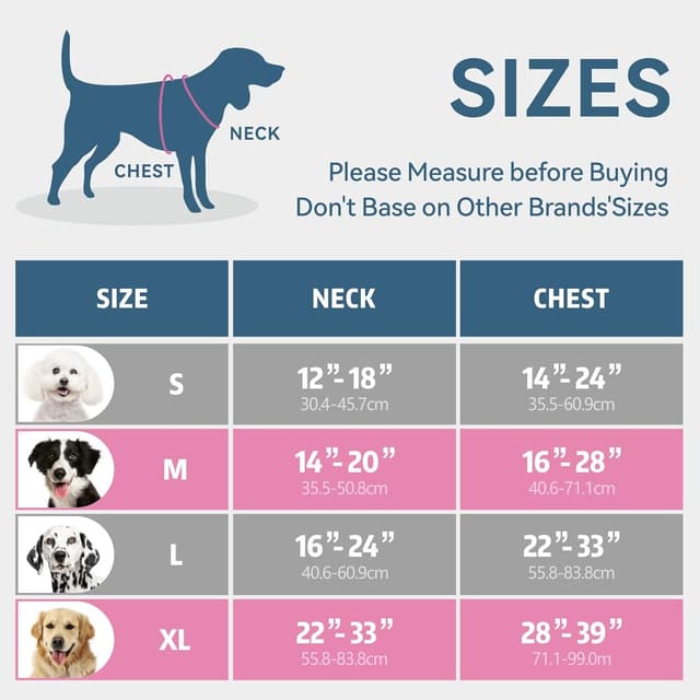 Detalle 2 de PHOEPET No Pull Dog Harness with Neck Buckle, Reflective Strips and Grab Handle (Blue, M)