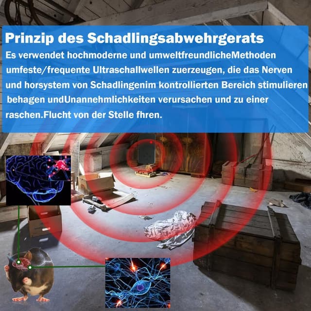 Detalle de Warmfay Marderschreck mit Ultraschall-Stecker – bis ca. 50 m², Vario-Frequenz und Anti-Gewöhnungseffekt