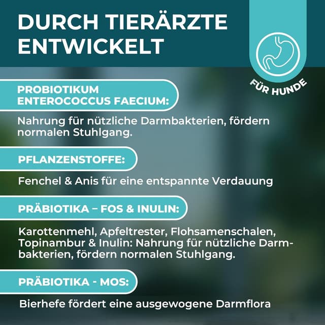 Detalle de Magen-Darm Pulver für Hunde (250 g) – Präbiotika & Probiotika mit Flohsamenschalen