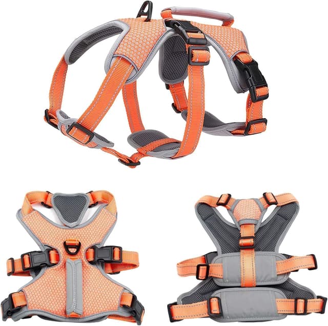 Thumbnail 6 de BELPRO Mehrzweck-Hundegeschirr XL für große Hunde