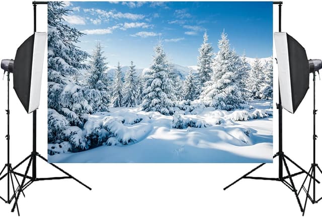 Thumbnail 3 de Aisnyho Winter Snowy Scenery Backdrop 7x5 ft