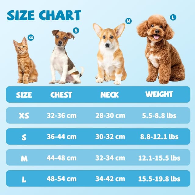 Detalle de COMSLE Pettorina per Cani Taglia Piccola XS blu chiaro con imbottitura morbida, traspirante e riflettente