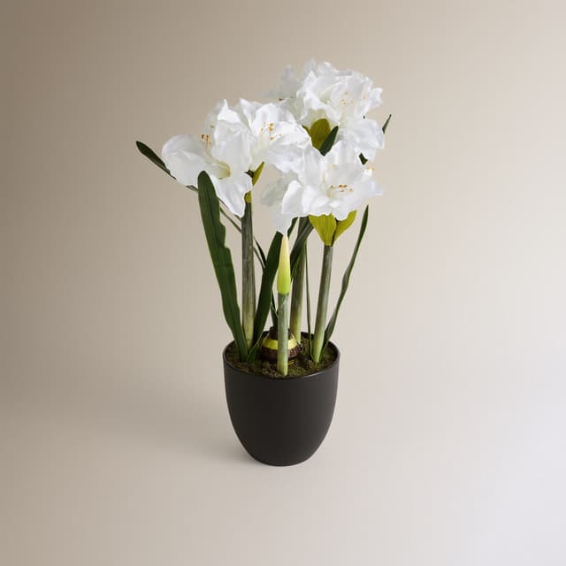 Imagen de El Corte Inglés Planta artificial Amarilis 60 cm en OfertitasTOP