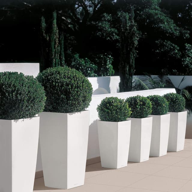 Thumbnail 5 de LECHUZA Cubico Premium 30 bianco lucido