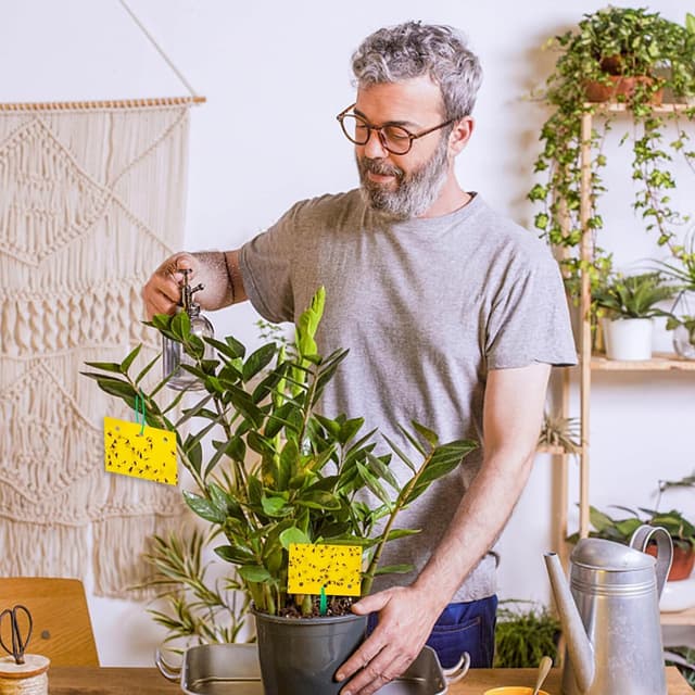 Thumbnail 3 de Blooven Moscerini Adesivi 60 pz