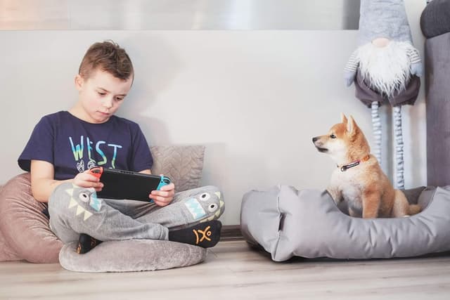 Thumbnail 4 de BedDog Hundebett Teddy M