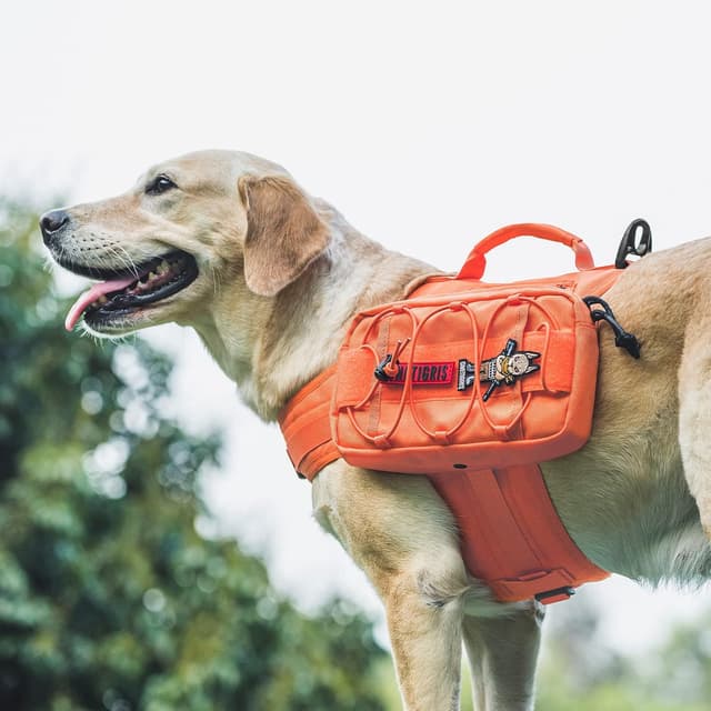 Detalle 2 de OneTigris Mammoth Dog Backpack 2.0 (Orange) for M/L dogs