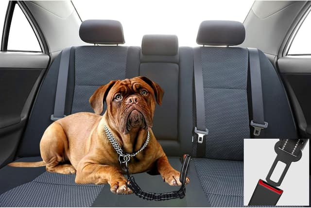 Thumbnail 5 de Hundesicherheitsgurt EASERIA 50-72-80 cm blau