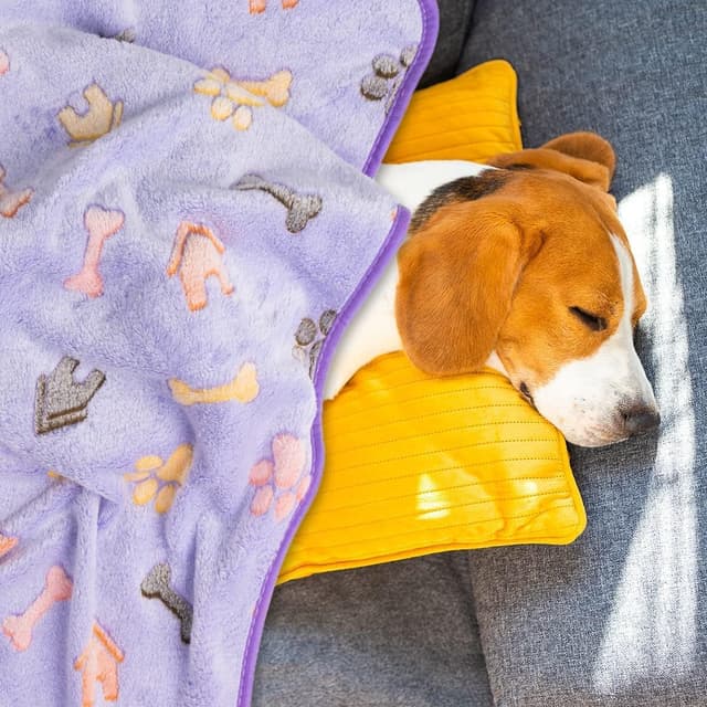 Thumbnail 5 de Flying Paws 3-Piece Pet Blankets