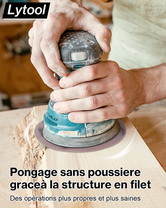 Detalle 2 de Lytool Disques abrasifs 150 mm grain 120