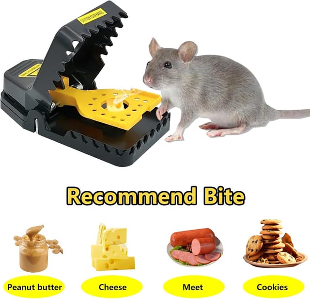 Detalle 2 de Rat Traps 4-Pack Super Heavy Duty snap traps 🐭