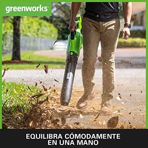 Detalle 2 de Greenworks GD40ABK2X Soplador de Hojas a Batería ⚡ with 2 Batteries