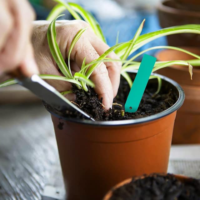 Thumbnail 5 de SHEEFLY 4 inch Plant Nursery Pots 100 Pack