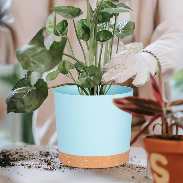 Detalle de QCQHDU 16.5cm Plant Pot (2 Pack) with Drainage Holes & Saucer – LightBlue