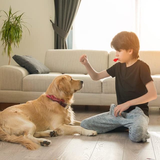 Thumbnail 6 de Vicloon fischietto sportivo 60 pezzi