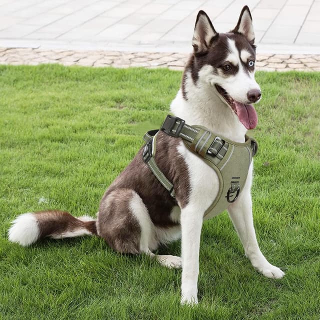 Detalle 2 de HEELE dog harness, No Pull Large L