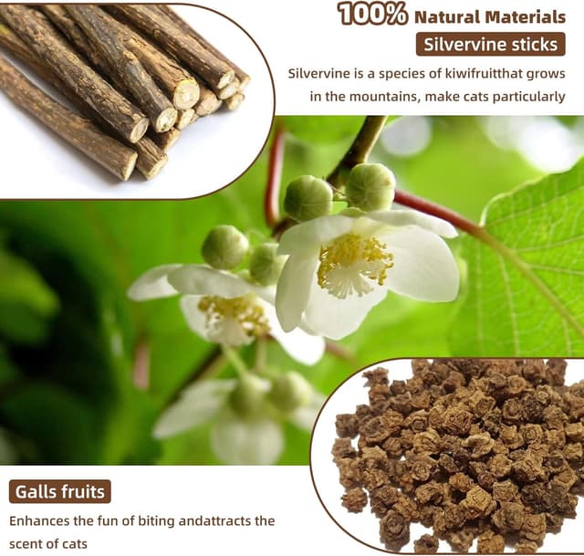 Detalle de Hnjindong cat chew dental sticks with silvervine (large) for indoor cats