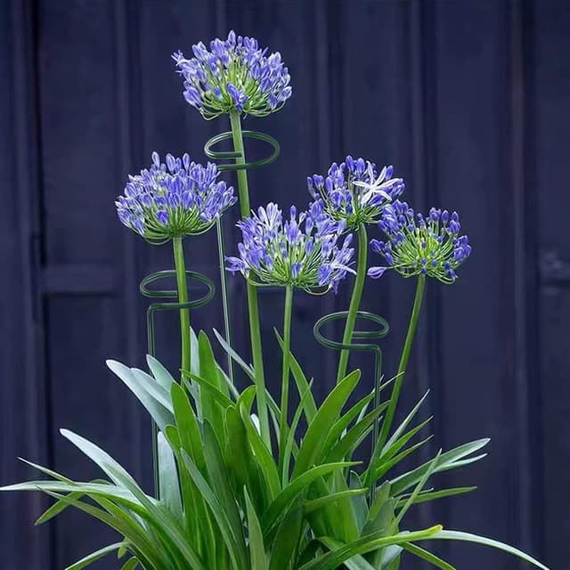 Thumbnail 4 de Thealyn 12 Pack 36 Inch Plant Support Stakes