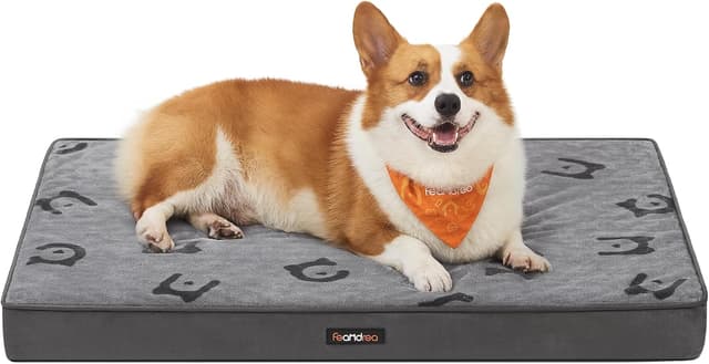 Imagen de Feandrea Panier pour Chiens Taille L en OfertitasTOP