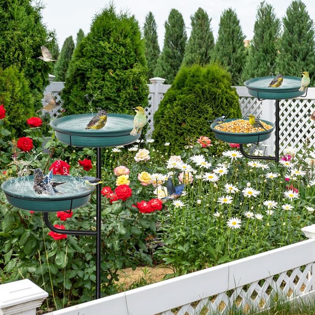 Thumbnail 5 de Vogeltränke Vogelbad Schale stehend – freistehende Vogelbad-Schüssel für den Garten (grün)