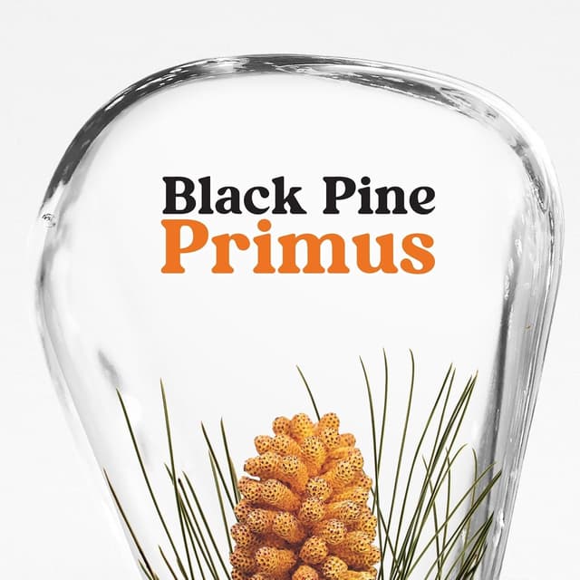 Thumbnail 5 de KORRES Black Pine Primus 6 volte ialuronico siero anti-età senza siliconi e parabeni, vegan 30 ml