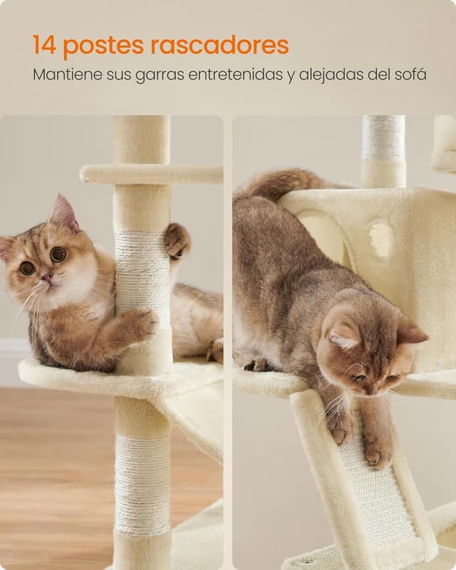 Thumbnail 5 de Feandrea PCT165W01 Árbol para gatos 168 cm